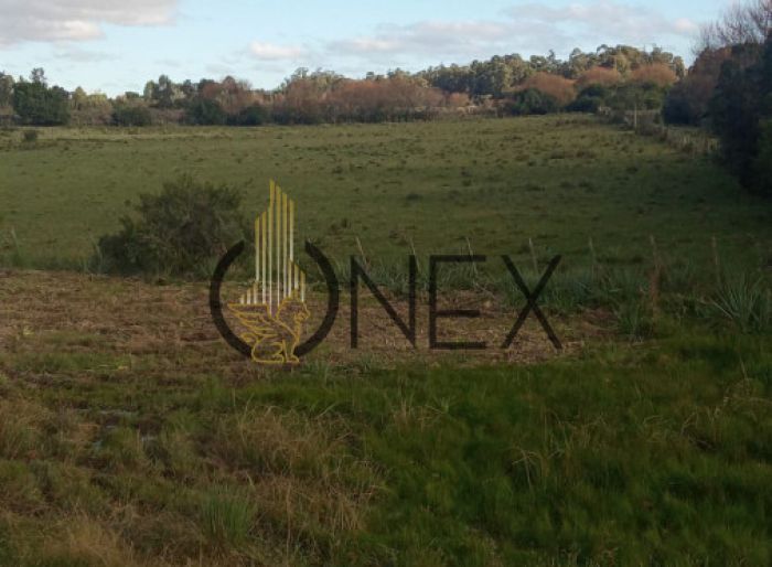 imagen  de la propiedad 185967