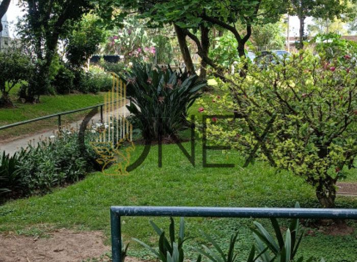 imagen  de la propiedad 186513