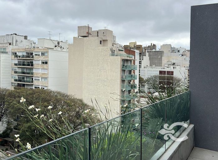 imagen  de la propiedad 127535