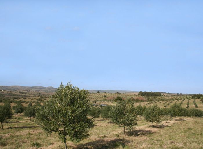 imagen  de la propiedad 155067