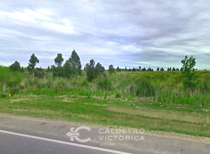 imagen  de la propiedad 168688