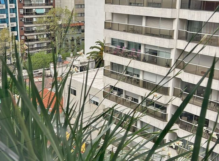 imagen  de la propiedad 55817