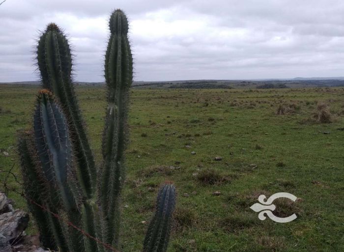 imagen  de la propiedad 57475
