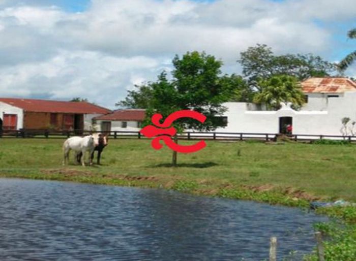 imagen  de la propiedad 59366