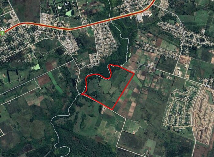 imagen  de la propiedad 90661