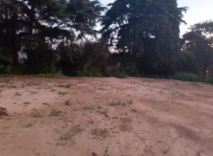 imagen  de la propiedad 132484
