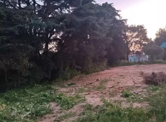 imagen  de la propiedad 132484