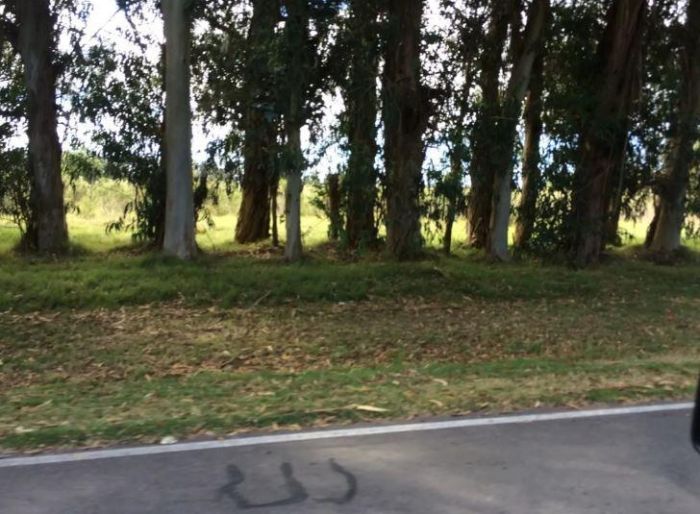imagen  de la propiedad 167273