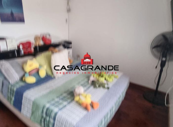 imagen  de la propiedad 174726