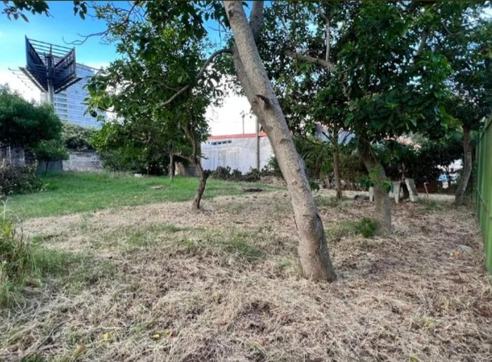 imagen  de la propiedad 184663