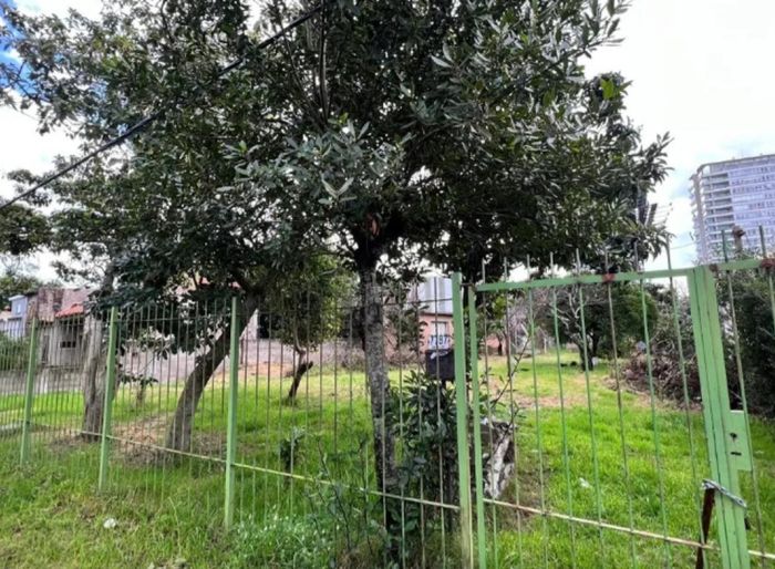 imagen  de la propiedad 184663