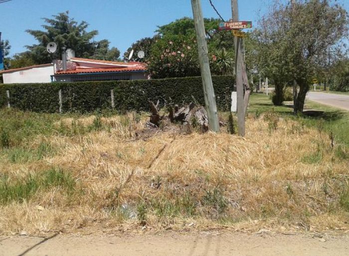 imagen  de la propiedad 51363