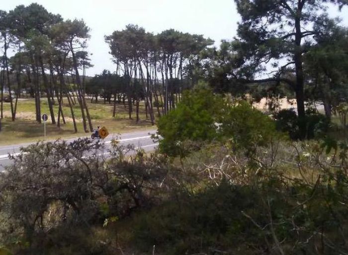 imagen  de la propiedad 51431