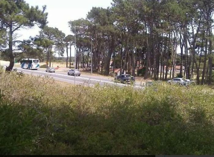 imagen  de la propiedad 51431