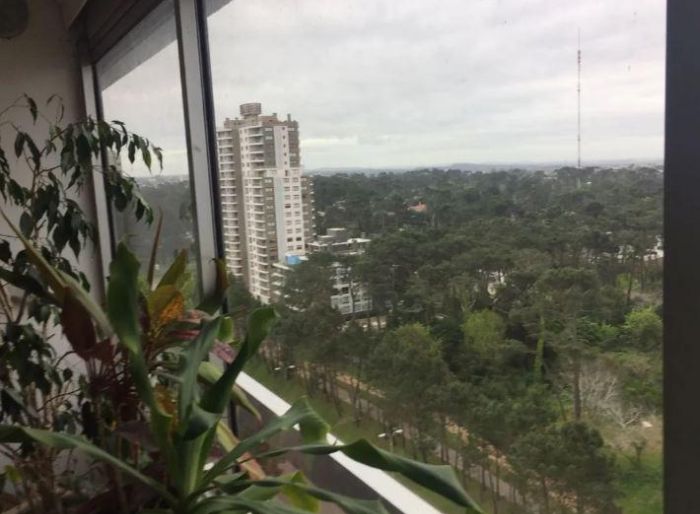 imagen  de la propiedad 51505