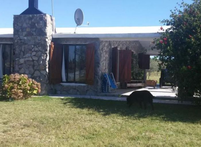 imagen  de la propiedad 51528