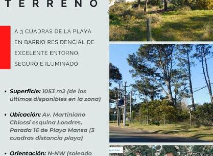 imagen  de la propiedad 51557
