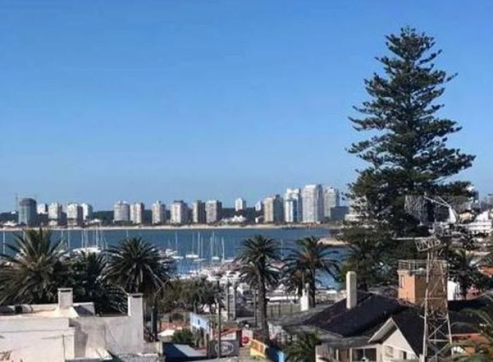 imagen  de la propiedad 51573