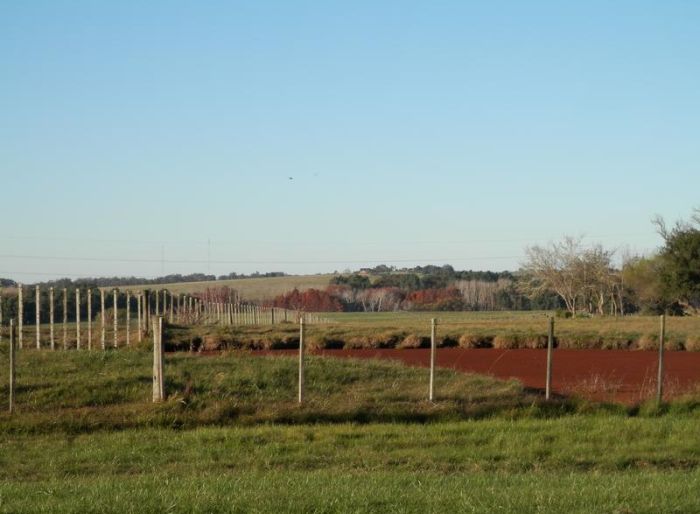 imagen  de la propiedad 51607