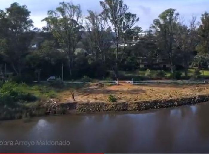 imagen  de la propiedad 51617