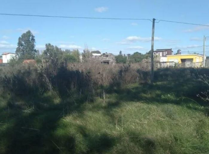 imagen  de la propiedad 51646