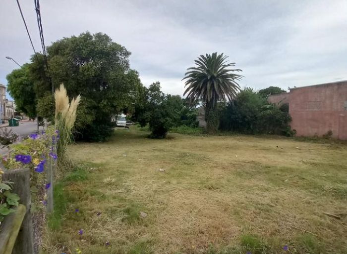 imagen  de la propiedad 51760