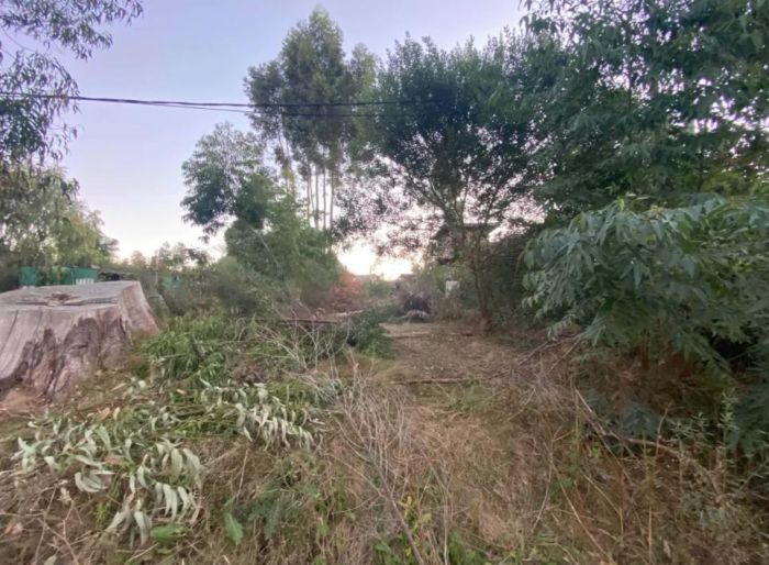 imagen  de la propiedad 51823