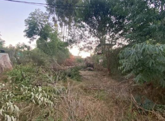 imagen  de la propiedad 51823