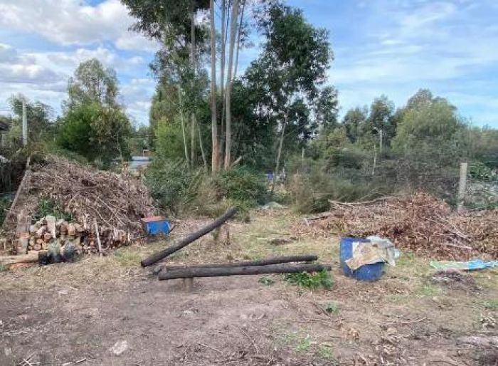 imagen  de la propiedad 51823