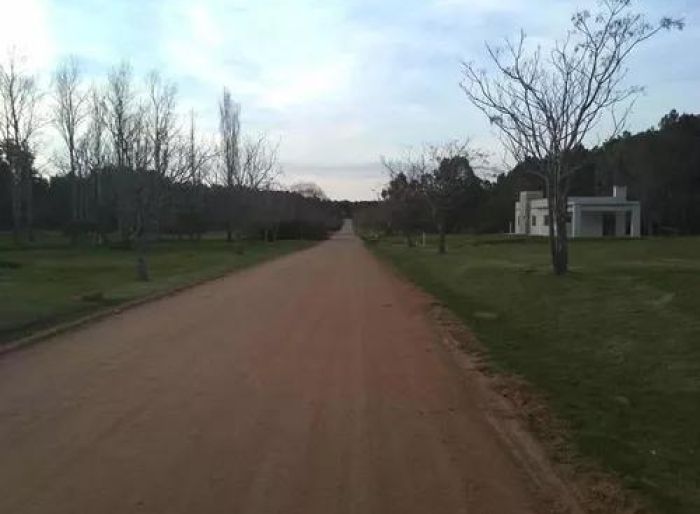 imagen  de la propiedad 52202
