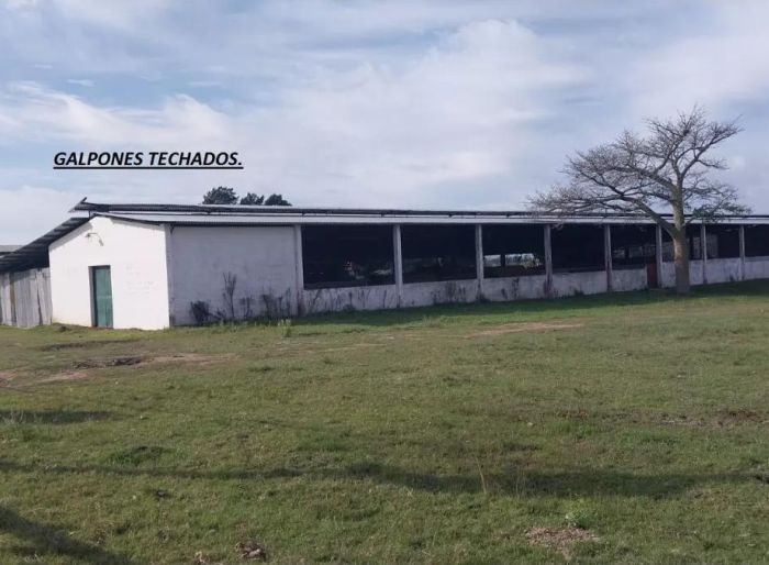 imagen  de la propiedad 52474