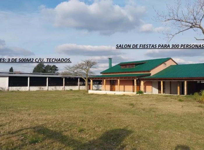 imagen  de la propiedad 52474