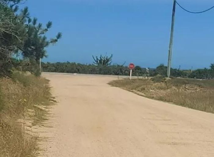 imagen  de la propiedad 70310
