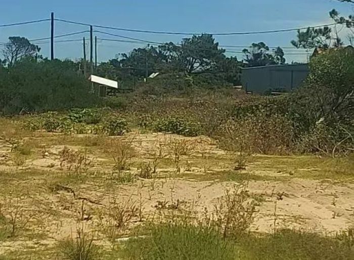imagen  de la propiedad 70310