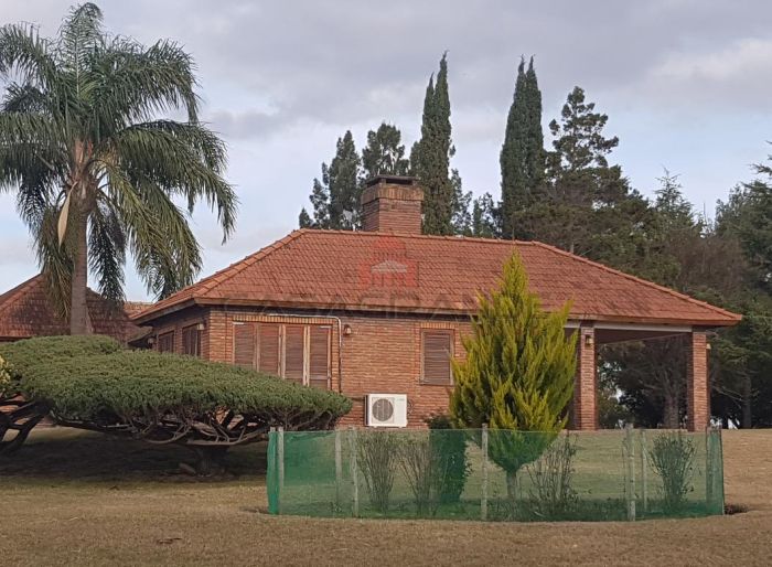 imagen  de la propiedad 70746