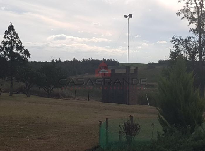 imagen  de la propiedad 70746