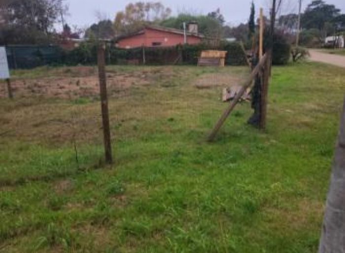 imagen  de la propiedad 73203