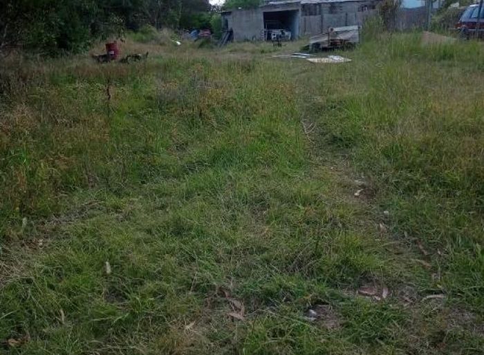 imagen  de la propiedad 78178
