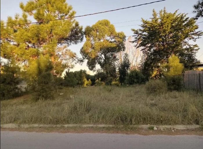 imagen  de la propiedad 91692