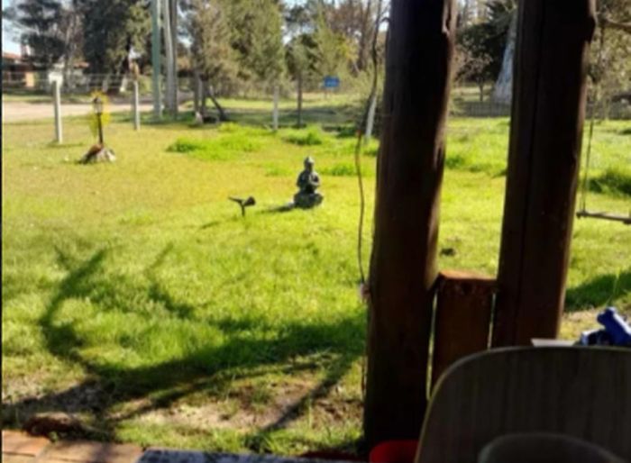 imagen  de la propiedad 94744