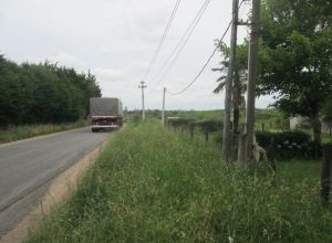 imagen  de la propiedad 2237
