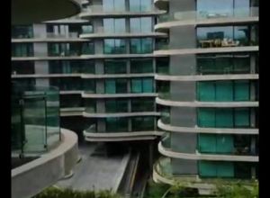 imagen  de la propiedad 486