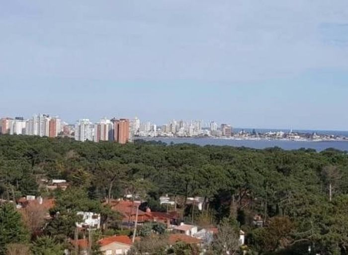 imagen  de la propiedad 9458