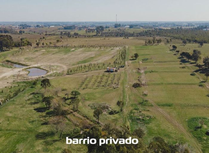 imagen  de la propiedad 160065
