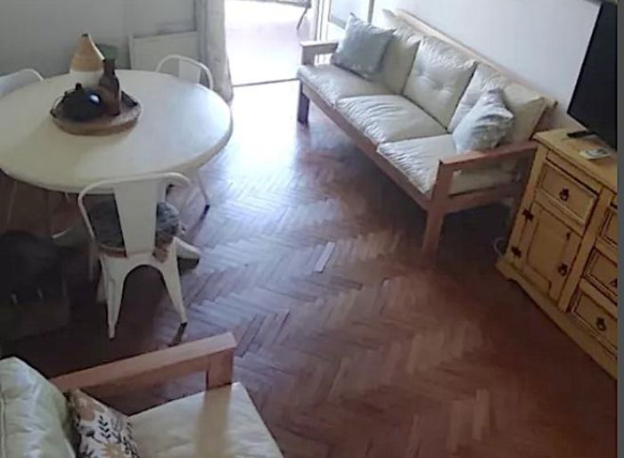 Imagen principal de la propiedad 112499