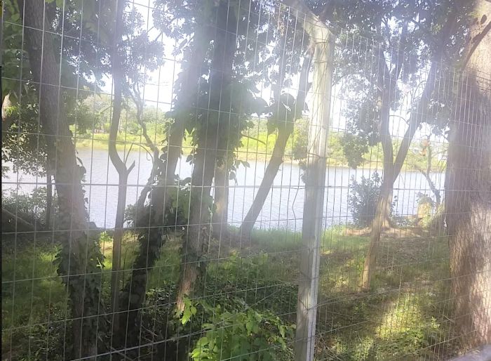 imagen  de la propiedad 155552