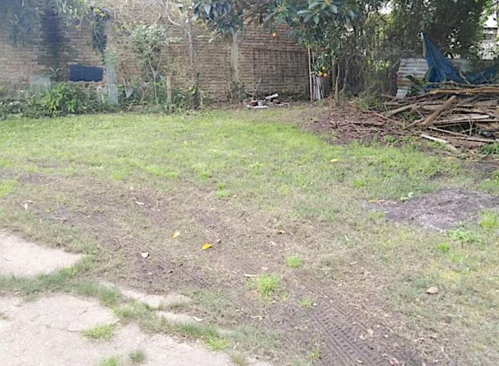 imagen  de la propiedad 81678