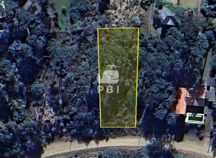 imagen  de la propiedad 139919