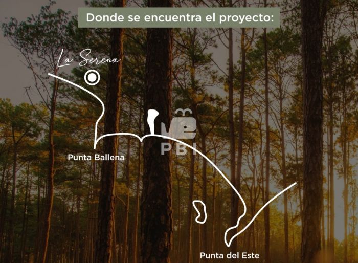 imagen  de la propiedad 144084