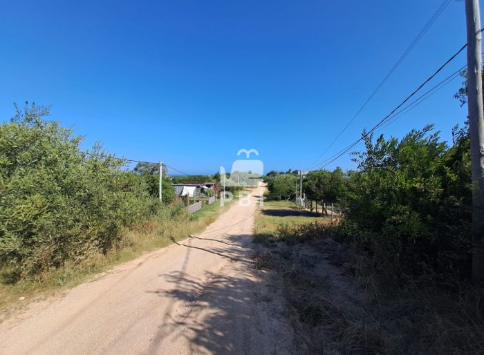 imagen  de la propiedad 149347